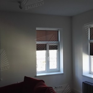 Pleated blinds