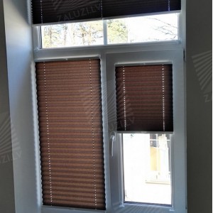 Pleated blinds