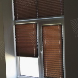 Pleated blinds
