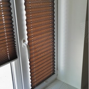 Pleated blinds