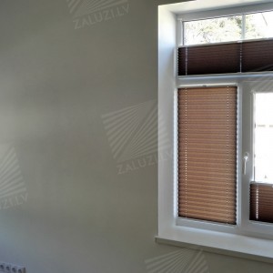 Pleated blinds