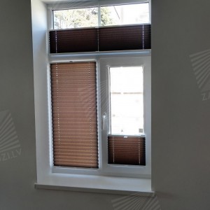 Pleated blinds