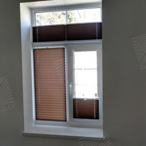 Pleated blinds