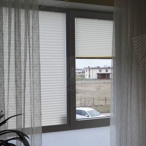 Pleated blinds