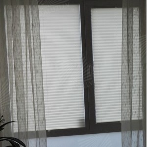 Pleated blinds