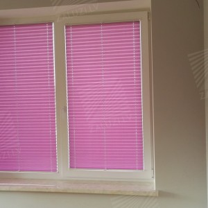Pleated blinds