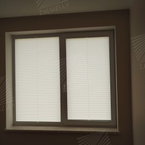 Pleated blinds