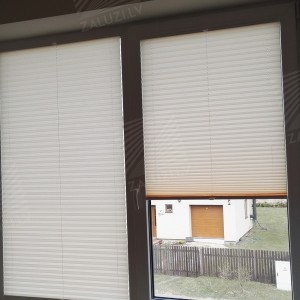 Pleated blinds