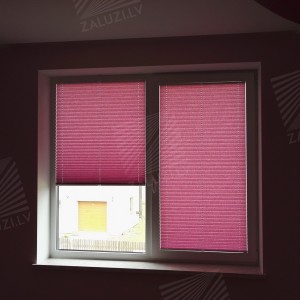 Pleated blinds