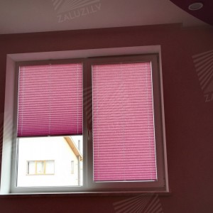 Pleated blinds