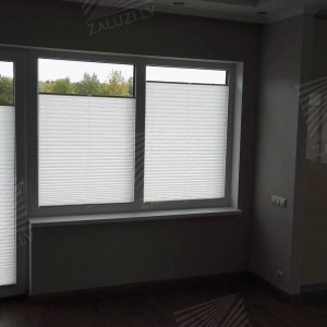 Pleated blinds