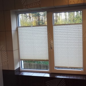 Pleated blinds
