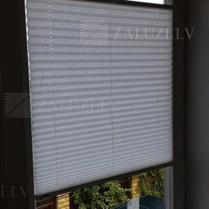 Pleated blinds