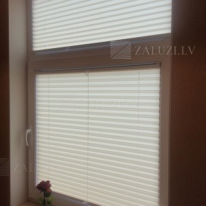 Pleated blinds