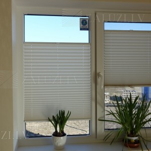 Pleated blinds