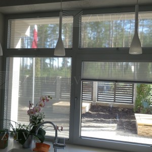 Pleated blinds