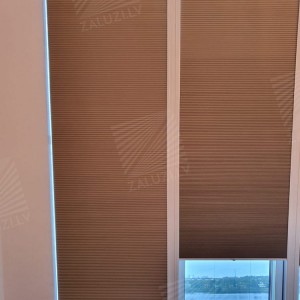 Pleated blinds