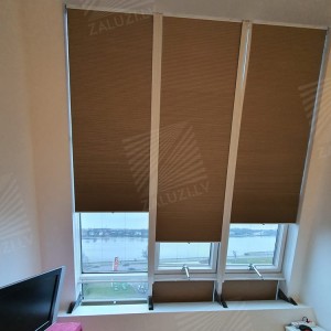 Pleated blinds