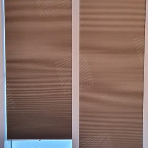 Pleated blinds