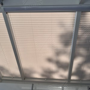 Pleated blinds