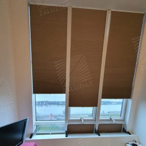 Pleated blinds