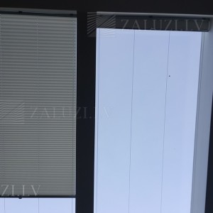 Pleated blinds