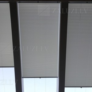 Pleated blinds