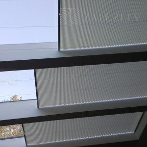 Pleated blinds
