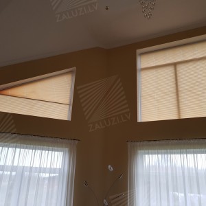 Pleated blinds