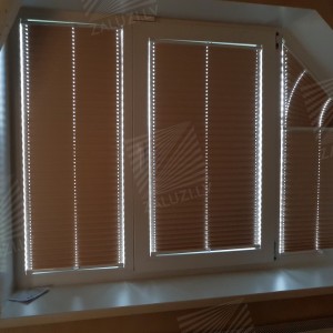 Pleated blinds