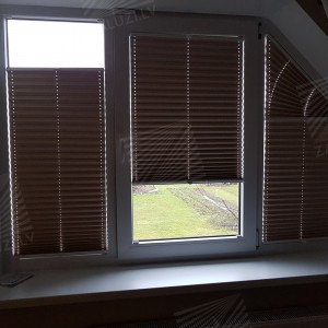 Pleated blinds
