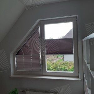 Pleated blinds