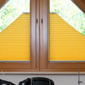 Pleated blinds