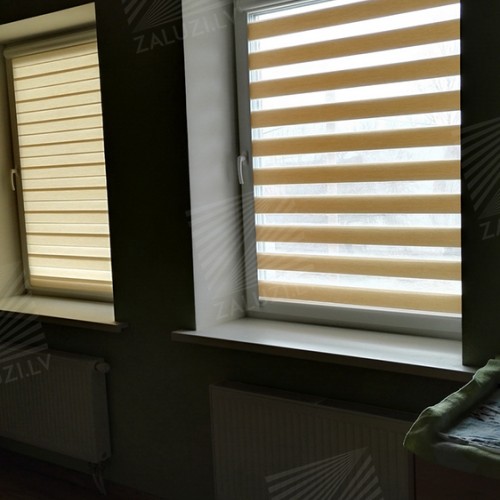 “Day-night” blinds