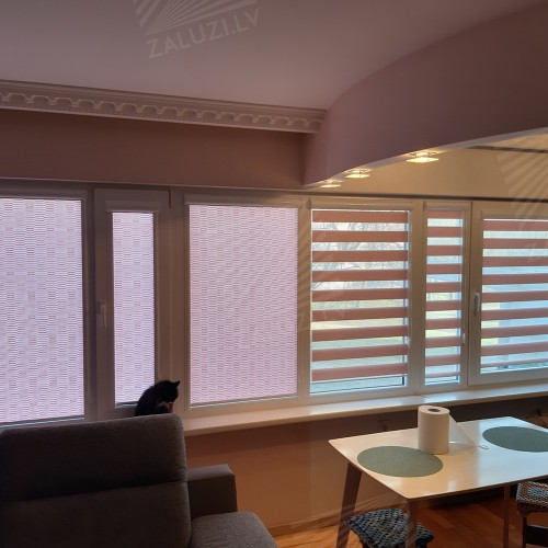 “Day-night” blinds