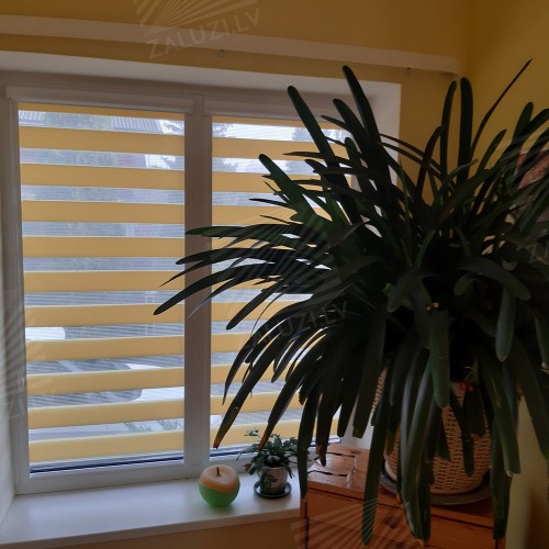 “Day-night” blinds