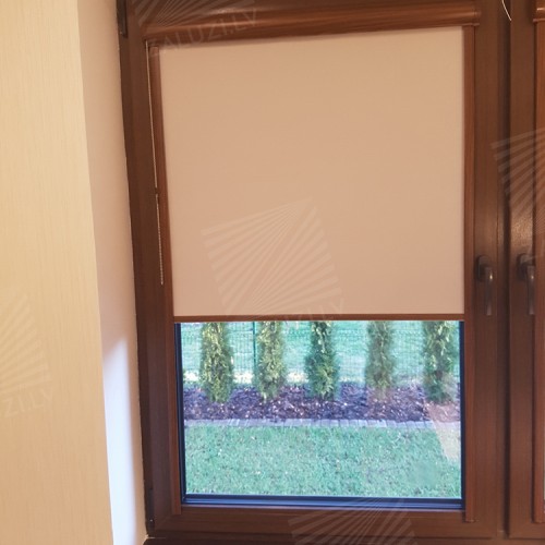 Cassette roller blind