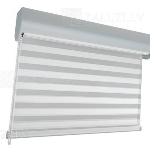 Roller blinds Coulisse Absolute