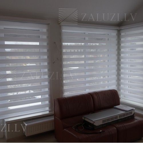 Roller blinds Coulisse Absolute