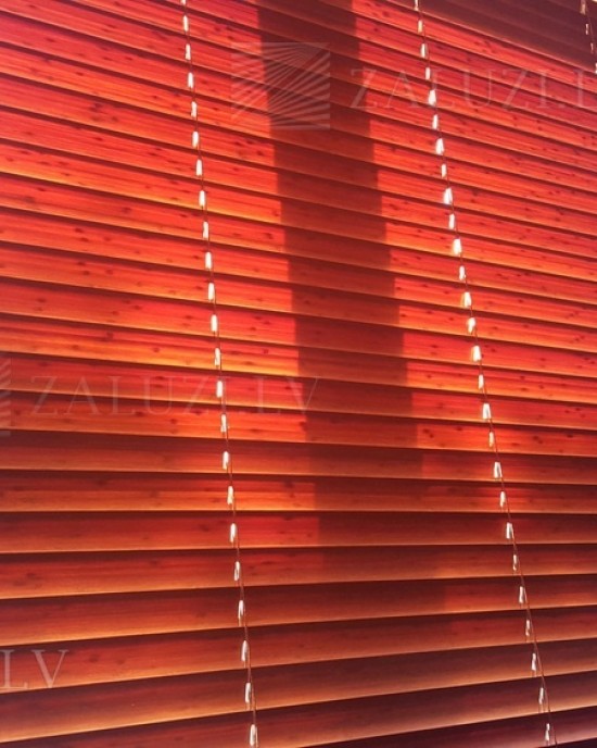 Venetian blinds -> Wooden blinds 50 mm  | ZALUZI.lv