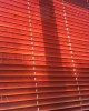 Venetian blinds -> Wooden blinds 50 mm  | ZALUZI.lv