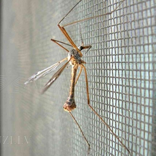 Frame mosquito nets