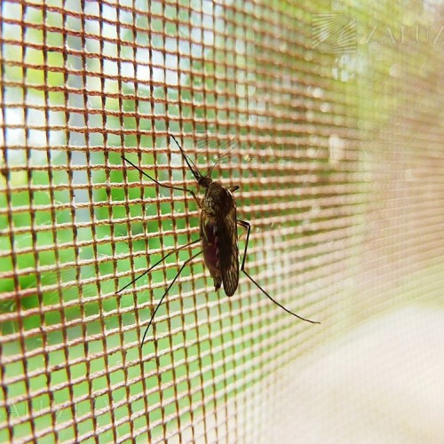 Frame mosquito nets