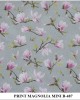 PRINT MAGNOLIA