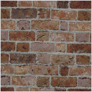 VIS MURO DE LADRILLOS